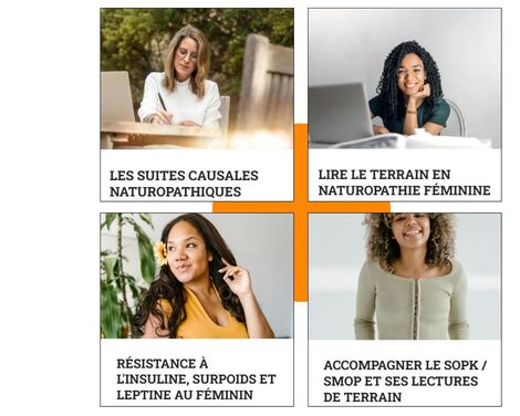 4 pastilles de cours illustrant un parcours de formation en naturopathie féminine sur la résistance à l'insuline, le surpoids et le SOPK / SMOP